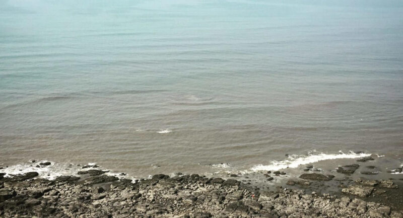 The Dreams That Could Be True