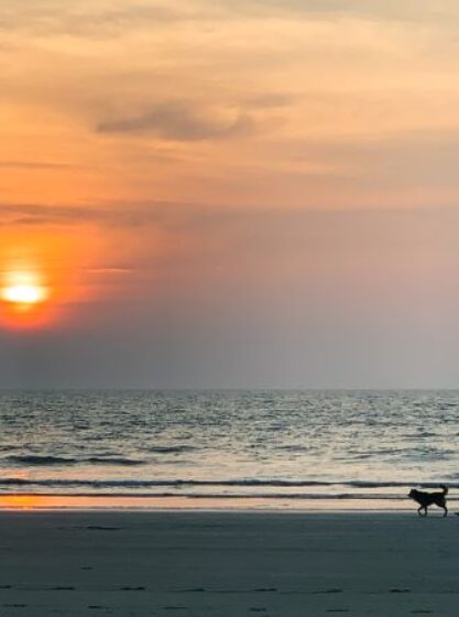 Goa — Arambol Beach