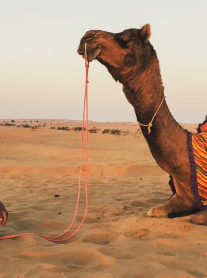 Backpacking Rajasthan #1 – Prologue
