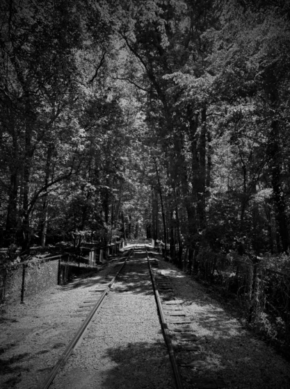 The Woodlands